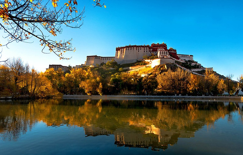 TIM截图20200626090548.png