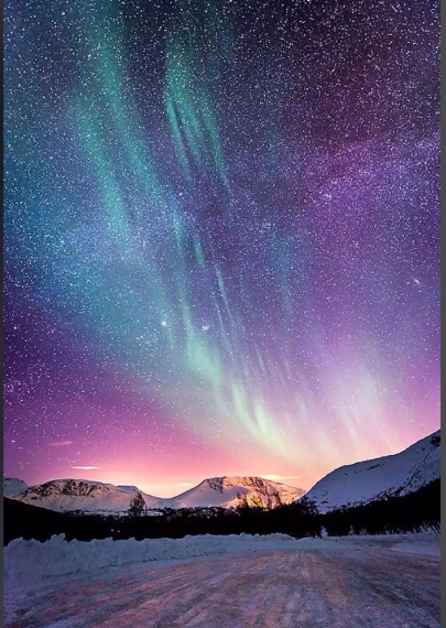 1762399143297265.jpg 1.jpg