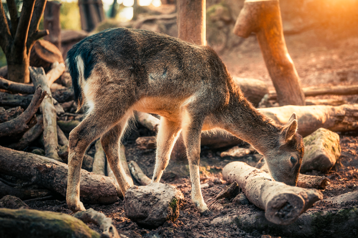 1762913937437416.jpg 1.jpg