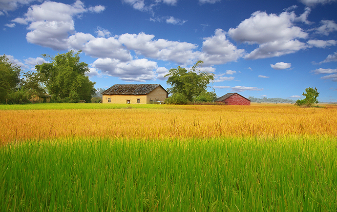 1764900557738967.jpg 1.jpg