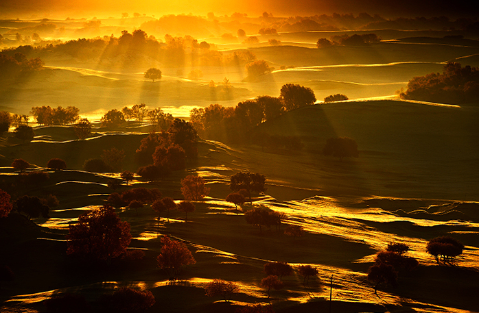 1765175451180030.jpg 1.jpg